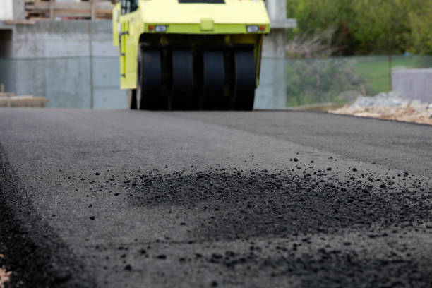 Best Professional Driveway Pavers  in Louisa, VA