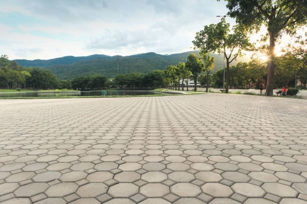 Best Driveway Pavers Near Me  in Louisa, VA